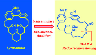 Total Synthesis of the Biphenyl Alkaloid (−)-Lythranidine