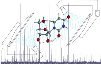 The Nucleoside Uridine Isolated in the Gas Phase