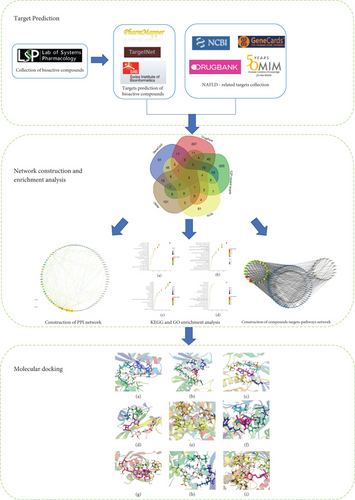 Details are in the caption following the image Details are in the caption following the image