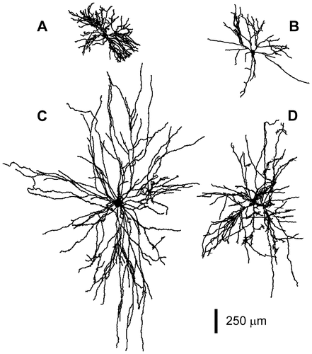 Details are in the caption following the image
