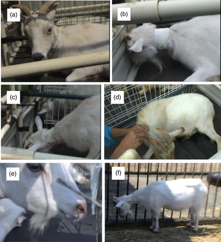 Details are in the caption following the image Details are in the caption following the image