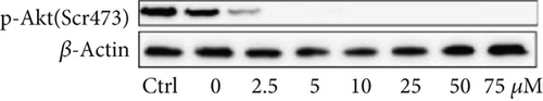 Details are in the caption following the image