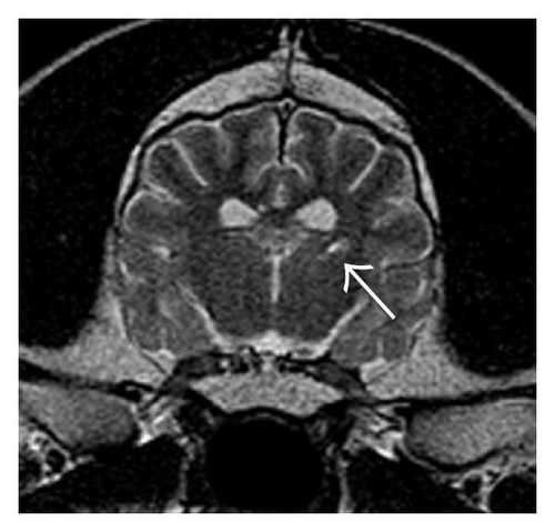 Details are in the caption following the image