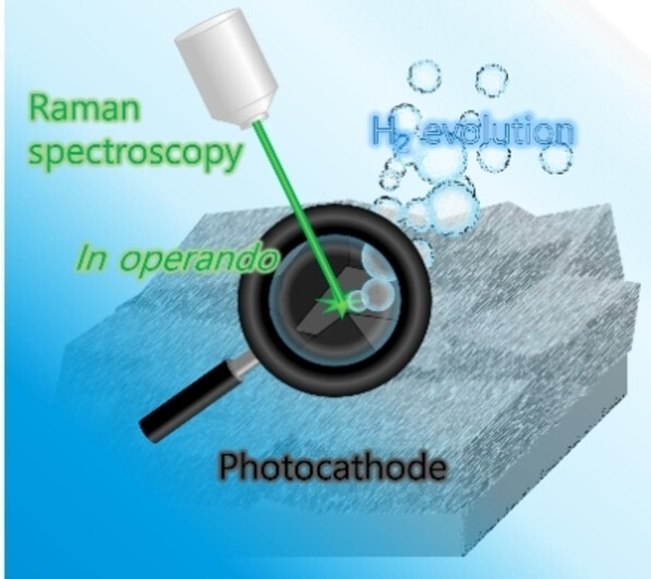 Monitoring Transformations of Catalytic Active States in Photocathodes Based on MoSx Layers on CuInS2 Using In Operando Raman Spectroscopy