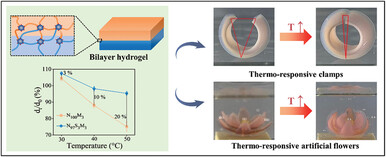 Microgel-Crosslinked Thermo-Responsive Hydrogel Actuators with High Mechanical Properties and Rapid Response