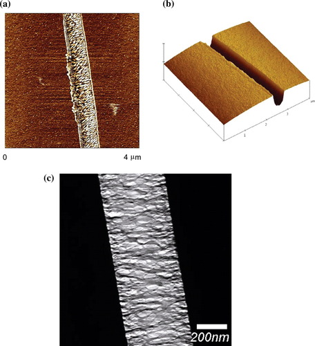 Details are in the caption following the image Details are in the caption following the image