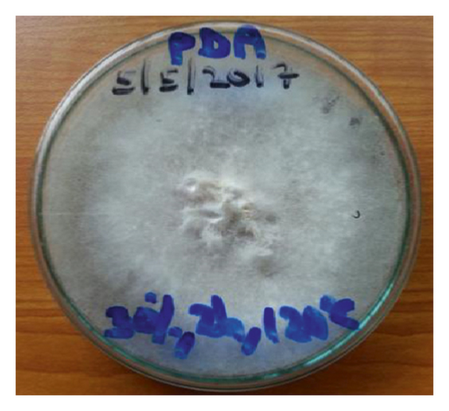 Details are in the caption following the image