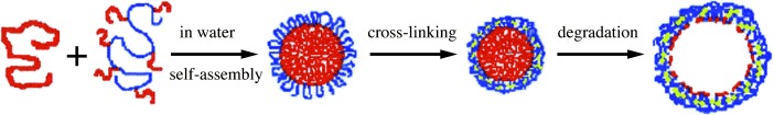 Micelles and Hollow Nanospheres Based on ε-Caprolactone-Containing Polymers in Aqueous Media