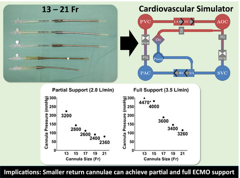 Hemodynamics of small arterial return cannulae for venoarterial extracorporeal membrane oxygenation