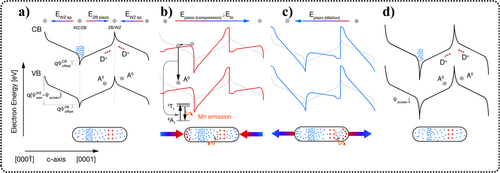 Details are in the caption following the image