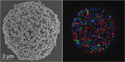 Synthesis and Application of FRET Nanoparticles in the Profiling of a Protease