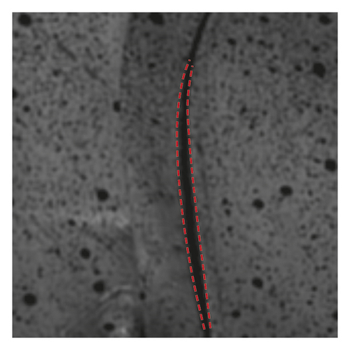 Details are in the caption following the image