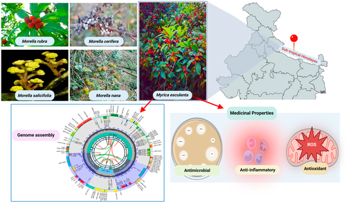 Details are in the caption following the image Details are in the caption following the image