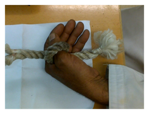 Details are in the caption following the image
