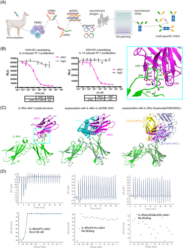 Details are in the caption following the image Details are in the caption following the image