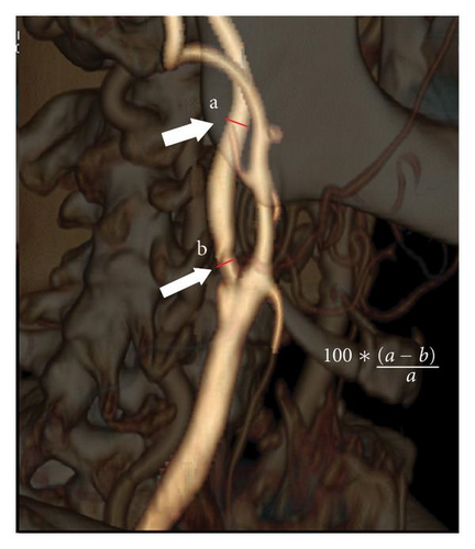Details are in the caption following the image Details are in the caption following the image
