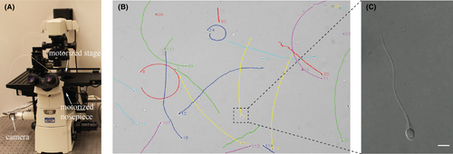 Details are in the caption following the image Details are in the caption following the image