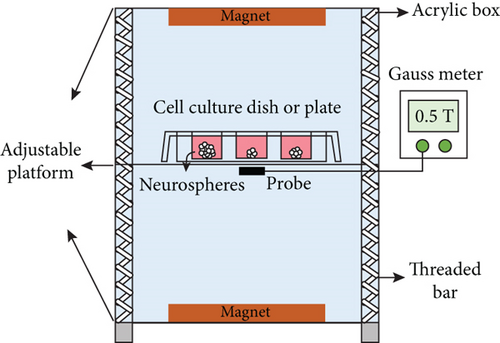 Details are in the caption following the image Details are in the caption following the image