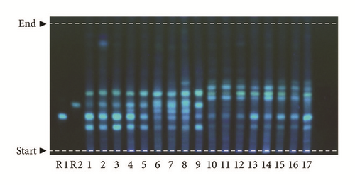 Details are in the caption following the image Details are in the caption following the image