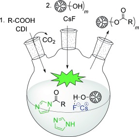 Fluoride-Promoted Esterification with Imidazolide-Activated Compounds: A Modular and Sustainable Approach to Dendrimers