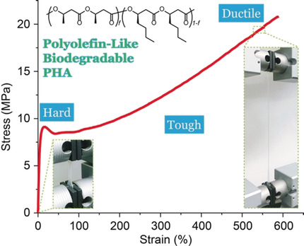 Biodegradable Polyhydroxyalkanoates by Stereoselective Copolymerization of Racemic Diolides: Stereocontrol and Polyolefin-Like Properties