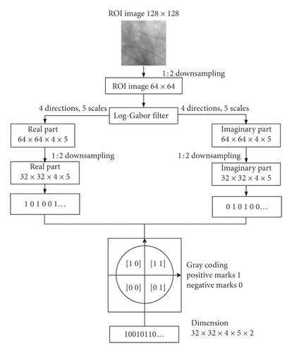 Details are in the caption following the image Details are in the caption following the image