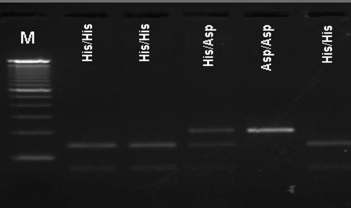 Details are in the caption following the image