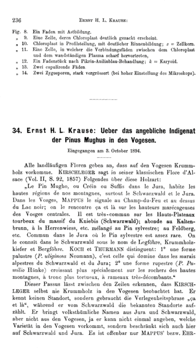 First page image