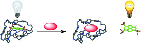 Aqueous Anion Receptors through Reduction of Subcomponent Self-Assembled Structures