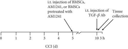 Details are in the caption following the image