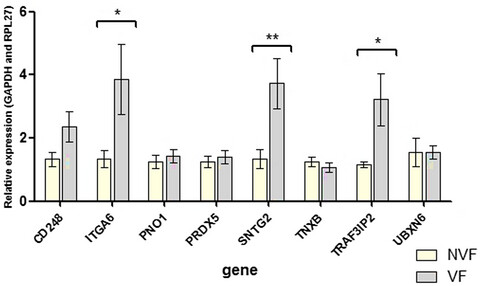Overexpression of SNTG2, TRAF3IP2, and ITGA6 transcripts is associated with osteoporotic vertebral fracture in elderly women from community