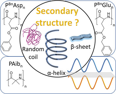 Secondary Structures in Synthetic Poly(Amino Acids): Homo- and Copolymers of Poly(Aib), Poly(Glu), and Poly(Asp)