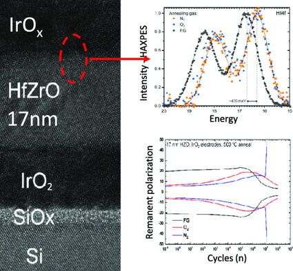 Impact of Iridium Oxide Electrodes on the Ferroelectric Phase of Thin Hf0.5Zr0.5O2 Films
