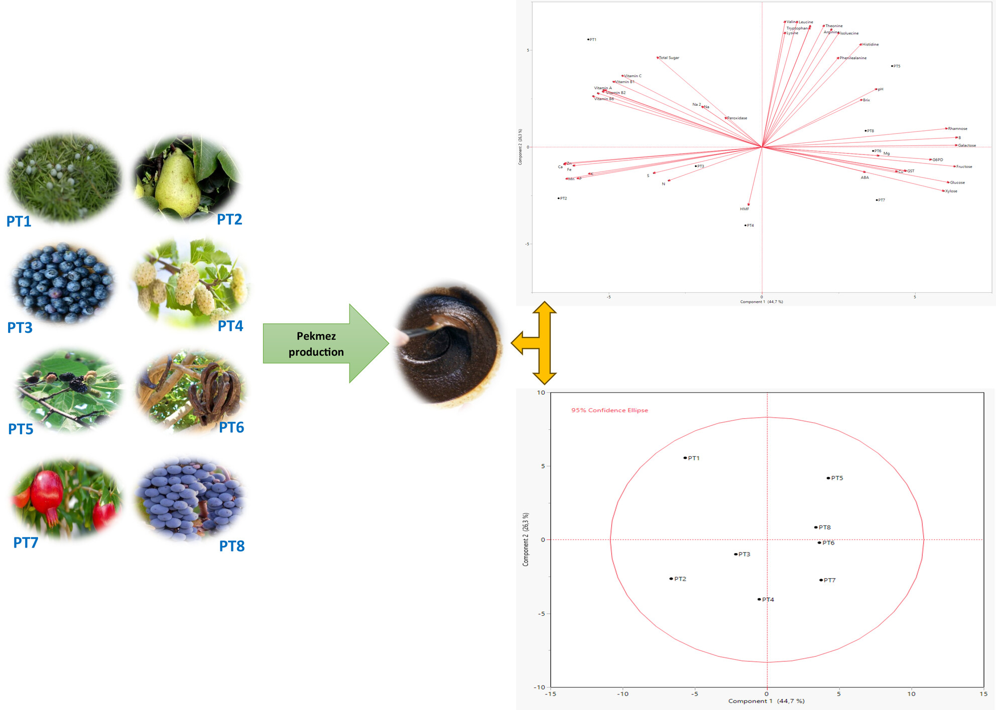 Nutritional Profile and Functional Characteristics of Various Types of Traditionally Produced PEKMEZ—Part I