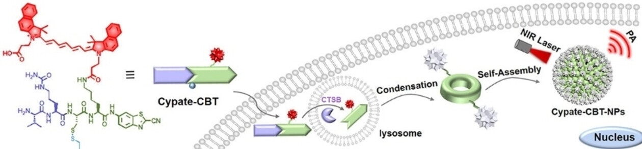 Cathespin B-Initiated Cypate Nanoparticle Formation for Tumor Photoacoustic Imaging