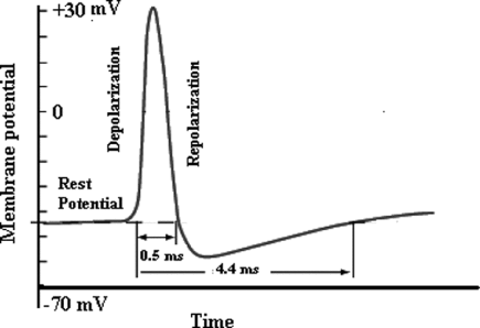 Details are in the caption following the image