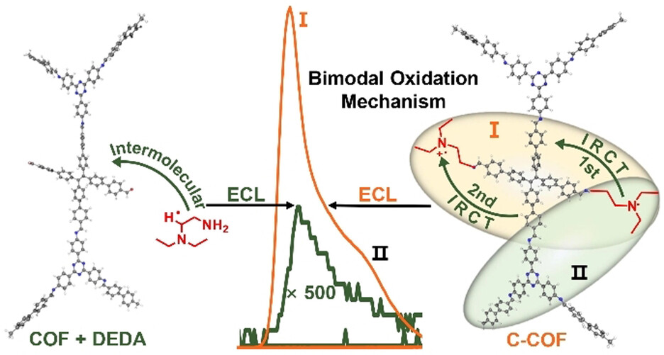 Bimodal Oxidation Electrochemiluminescence Mechanism of Coreactant-Embedded Covalent Organic Frameworks via Postsynthetic Modification