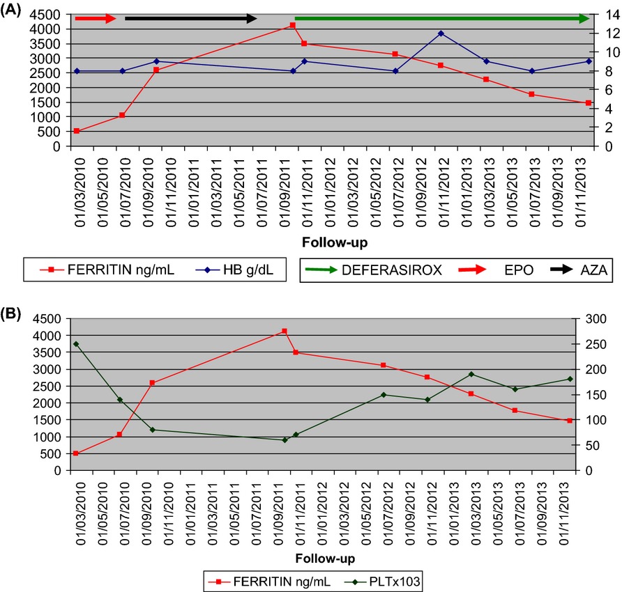 Deferasirox in a refractory anemia after other treatment options: case report and literature review