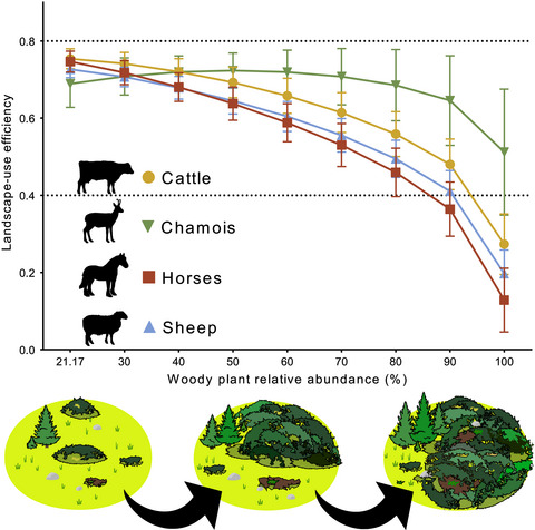 Different effects of alpine woody plant expansion on domestic and wild ungulates
