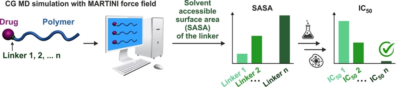 Coarse-Grained Model-Assisted Design of Polymer Prodrug Nanoparticles with Enhanced Cytotoxicity: A Combined Theoretical and Experimental Study