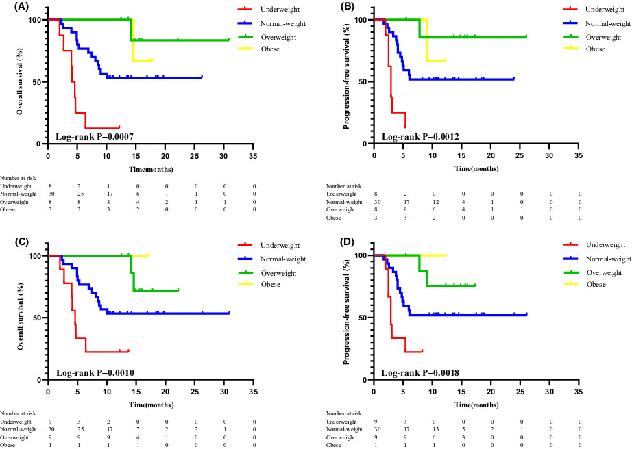 The association between body mass index and efficacy of pembrolizumab as second-line therapy in patients with recurrent/metastatic head and neck squamous cell carcinoma