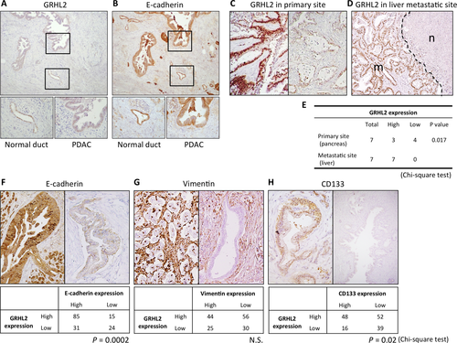 Details are in the caption following the image Details are in the caption following the image