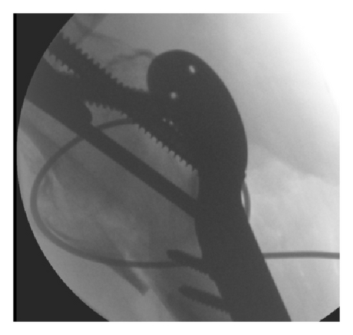Details are in the caption following the image Details are in the caption following the image