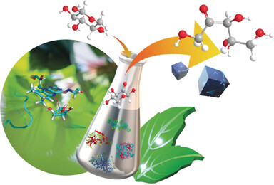 One-Pot Bioconversion of l-Arabinose to l-Ribulose in an Enzymatic Cascade