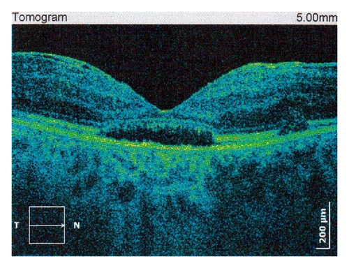 Details are in the caption following the image Details are in the caption following the image