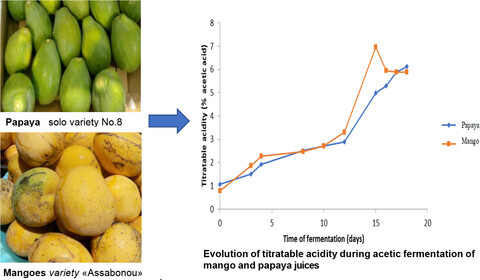 Organic production of vinegar from mango and papaya