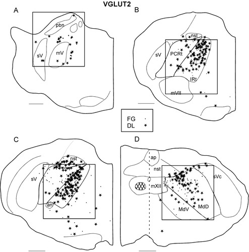 Details are in the caption following the image