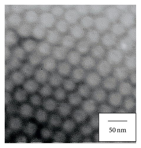 Details are in the caption following the image