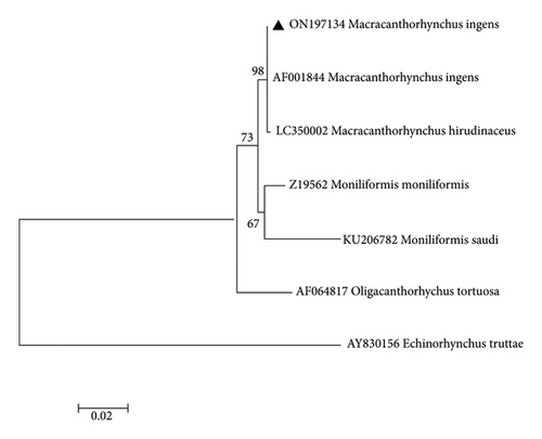 Details are in the caption following the image Details are in the caption following the image