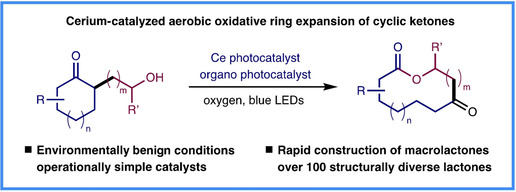 Photocatalytic Aerobic Oxidative Ring Expansion of Cyclic Ketones to Macrolactones by Cerium and Cyanoanthracene Catalysis
